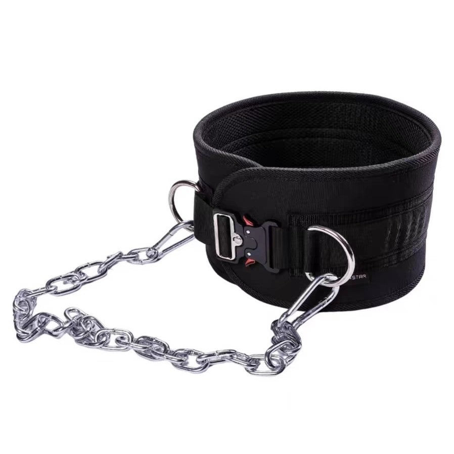 Load-bearing back support belt