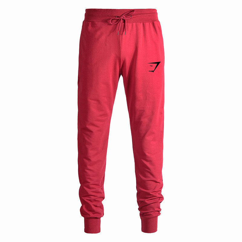 Fitness Muscle Shark Sports Pants