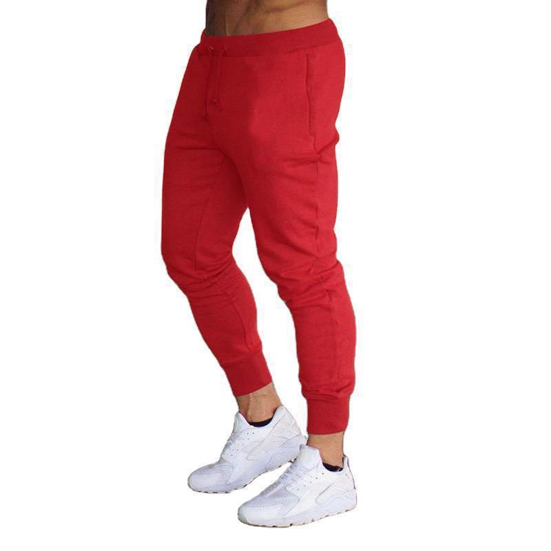 Fitness Muscle Shark Sports Pants